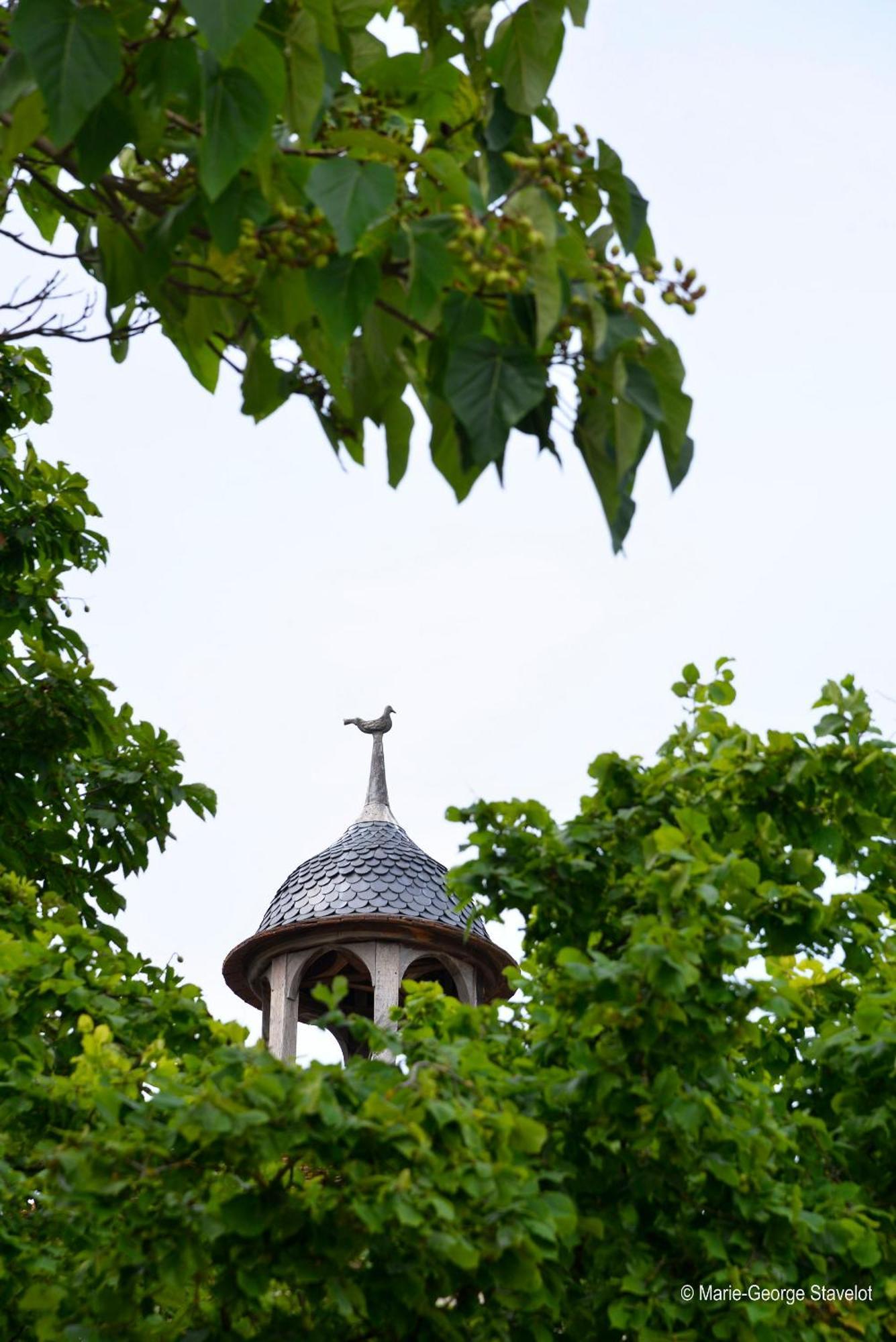Domaine Borgnat Bed & Breakfast Escolives-Sainte-Camille Eksteriør bilde